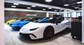 Ferrari SF90 NOVITEC RACINGSEAT CARBONPACK LIFT JBL FULL Grau - thumbnail 35
