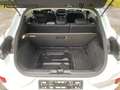 Ford Puma Titanium EcoBoost Blanc - thumbnail 9