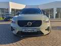 Volvo XC40 B3 B DKG Plus Dark Pano, ACC, BLIS Grün - thumbnail 3