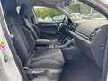 Skoda Karoq Style 1.5 TSI DSG *AHK*ACC*LED* Wit - thumbnail 13