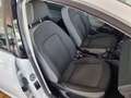SEAT Ibiza 1.4 TDI 90 CV Blanco - thumbnail 11