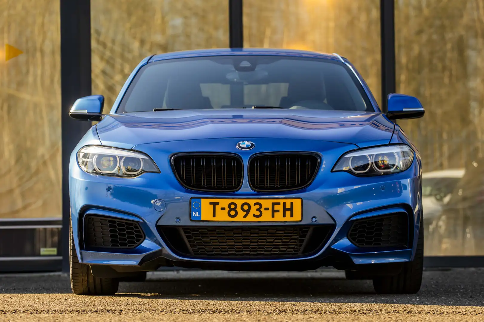 BMW 218 2-serie Coupé 218i High Executive Edition Blu/Azzurro - 2