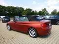 BMW 218 i Cabrio NAV/AHK/Teil-Leder/LED/SHZ/PDC Portocaliu - thumbnail 5