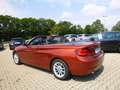 BMW 218 i Cabrio NAV/AHK/Teil-Leder/LED/SHZ/PDC Portocaliu - thumbnail 4