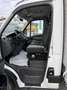 Iveco Daily 35C15H3.0 Cent Reg Sponda Idra4440x2240x2850 kg800 Blanc - thumbnail 7