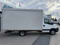 Iveco Daily 35C15H3.0 Cent Reg Sponda Idra4440x2240x2850 kg800 Blanc - thumbnail 4