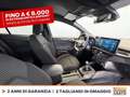 Ford Focus 1.0t ecoboost h st-line x 125cv Blau - thumbnail 6
