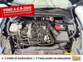 Ford Focus 1.0t ecoboost h st-line x 125cv Blau - thumbnail 12
