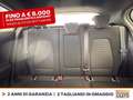 Ford Focus 1.0t ecoboost h st-line x 125cv Blau - thumbnail 9