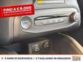 Ford Focus 1.0t ecoboost h st-line x 125cv Blau - thumbnail 24