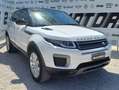Land Rover Range Rover Evoque Range Rover Evoque  2.0 td4 SE Dynamic 150cv Wit - thumbnail 1
