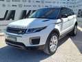 Land Rover Range Rover Evoque Range Rover Evoque  2.0 td4 SE Dynamic 150cv Wit - thumbnail 3