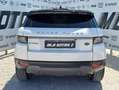 Land Rover Range Rover Evoque Range Rover Evoque  2.0 td4 SE Dynamic 150cv Wit - thumbnail 5