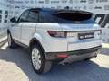 Land Rover Range Rover Evoque Range Rover Evoque  2.0 td4 SE Dynamic 150cv Wit - thumbnail 4