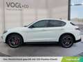 Alfa Romeo Stelvio Veloce 2.2 16V 210 AT8 Q4 Weiß - thumbnail 2