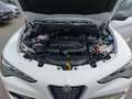 Alfa Romeo Stelvio Veloce 2.2 16V 210 AT8 Q4 Weiß - thumbnail 19