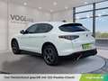Alfa Romeo Stelvio Veloce 2.2 16V 210 AT8 Q4 Weiß - thumbnail 3