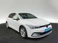 Volkswagen Golf VIII 1.5 TSI Life ACC Navi CarPlay Sitzhzg Weiß - thumbnail 6