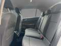 Volkswagen Golf VIII 1.5 TSI Life ACC Navi CarPlay Sitzhzg Weiß - thumbnail 10