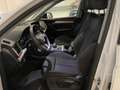 Audi Q5 SPB Sportback 40 TDI quattro S tronic S line Bianco - thumbnail 5