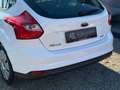 Ford Focus Sync Edition Weiß - thumbnail 4