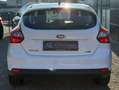 Ford Focus Sync Edition Weiß - thumbnail 5