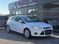 Ford Focus Sync Edition Weiß - thumbnail 1