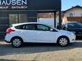 Ford Focus Sync Edition Weiß - thumbnail 2