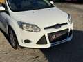 Ford Focus Sync Edition Weiß - thumbnail 9