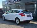 Ford Focus Sync Edition Weiß - thumbnail 3