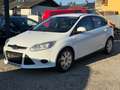 Ford Focus Sync Edition Weiß - thumbnail 7