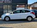 Ford Focus Sync Edition Weiß - thumbnail 6