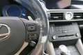 Lexus RC 300h F-SPORT 2.5 HYBRID 223 CV 2P Grau - thumbnail 14