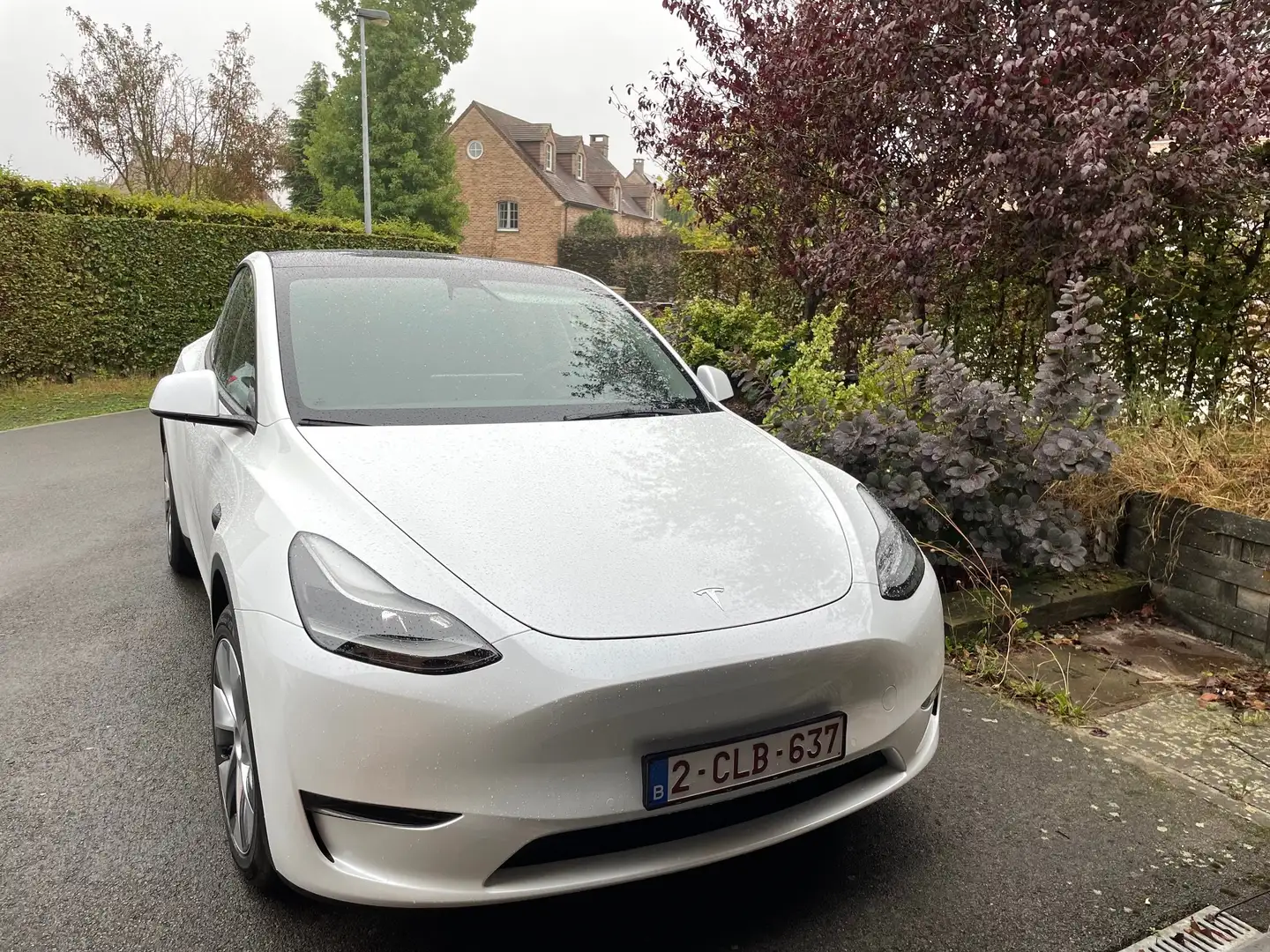 Tesla Model Y Model Y long range dual motor Blanc - 1