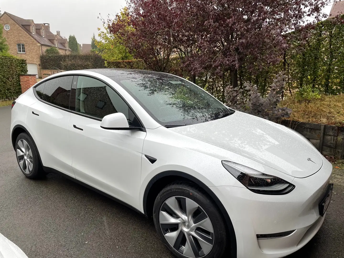 Tesla Model Y Model Y long range dual motor Blanc - 2