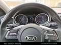 Kia Ceed SW / cee'd SW CEED Silber 1.4 TGDI Weiß - thumbnail 19
