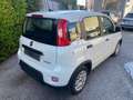 Fiat Panda Panda III  1.0 firefly hybrid s Bianco - thumbnail 5