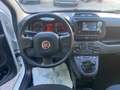 Fiat Panda Panda III  1.0 firefly hybrid s Bianco - thumbnail 10