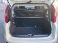 Fiat Panda Panda III  1.0 firefly hybrid s Bianco - thumbnail 8
