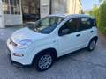 Fiat Panda Panda III  1.0 firefly hybrid s Bianco - thumbnail 1