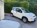 Fiat Panda Panda III  1.0 firefly hybrid s Bianco - thumbnail 2