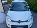 Fiat Panda Panda III  1.0 firefly hybrid s Bianco - thumbnail 3