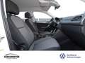 Volkswagen Tiguan Life 2.0 TDI DSG AHK+NAVI+LED+SHZ+PDC+GRA Weiß - thumbnail 9