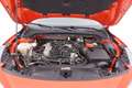Ford Focus SW Hybrid Active 1.0 Mild Hybrid 125CV Rosso - thumbnail 13