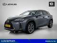 Lexus UX 250h F Sport Line | Apple CarPlay / Android Auto | Lede Gris - thumbnail 1