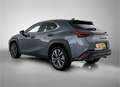 Lexus UX 250h F Sport Line | Apple CarPlay / Android Auto | Lede Gris - thumbnail 14