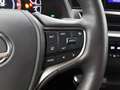 Lexus UX 250h F Sport Line | Apple CarPlay / Android Auto | Lede Gris - thumbnail 15