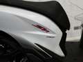 Honda SH 150 ABS  PEARL COOL WHITE SPORT YM 2024 - thumbnail 13
