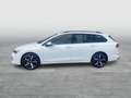 Volkswagen Golf Variant Business mHeV TSI DSG Weiß - thumbnail 2