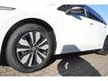 Volkswagen Golf VIII GOAL 1.5 l TSI OPF 116 PS 6- Weiß - thumbnail 4